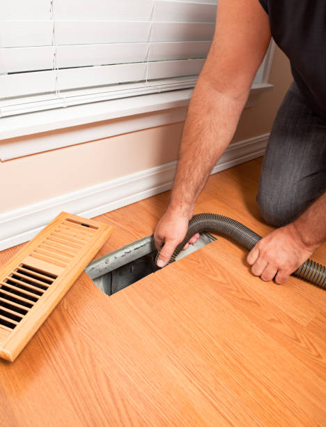 Best Residential Air Duct Cleaning  in La Plata, NM